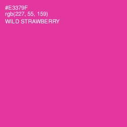#E3379F - Wild Strawberry Color Image